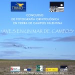 Cartel Concurso