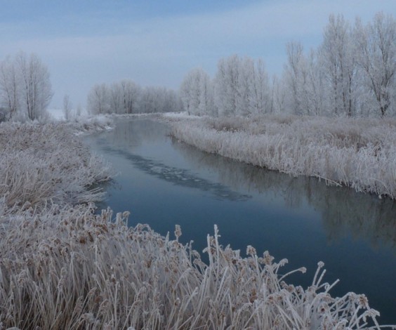 "CANAL EN INVIERNO" Canal de Castilla