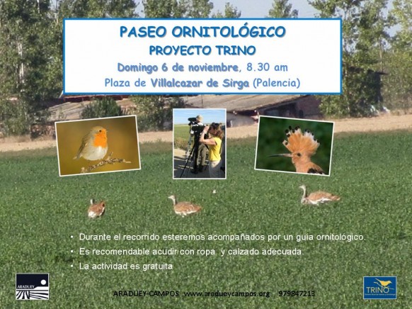 Cartel