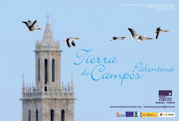 Calendario 2012 Araduey Campos
