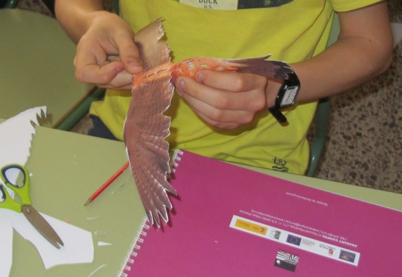 Maqueta cernicalo. Taller aves en Tierra de Campos de Araduey Campos. Palencia