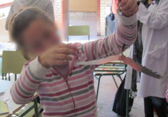 Taller medioambiental sobre las aves  en los colegios Tierra de Campos Araduey Campos