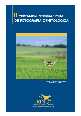 concurso